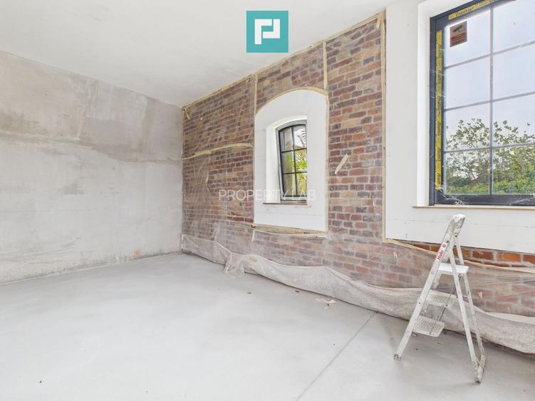 Spațiu de 270 mp pentru investiții în Periam - 11