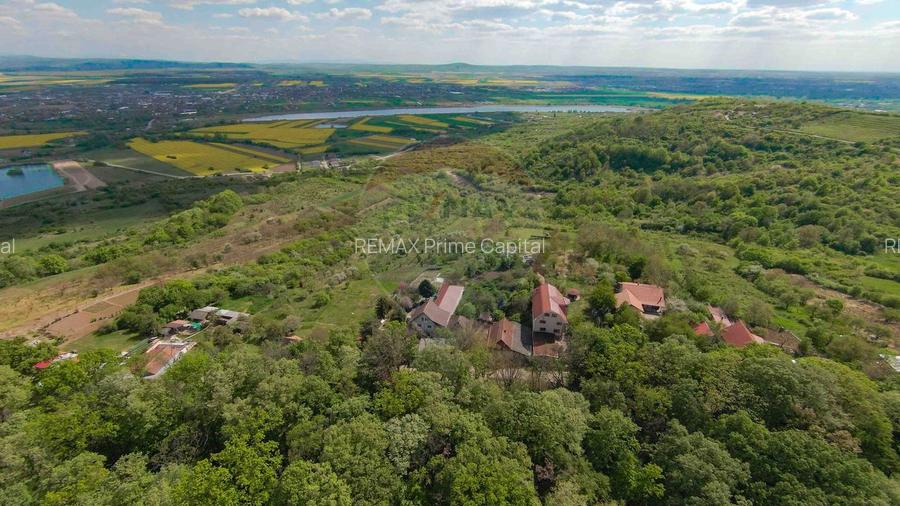 De vânzare casă și teren 1.425 mp - Podgoria - 12
