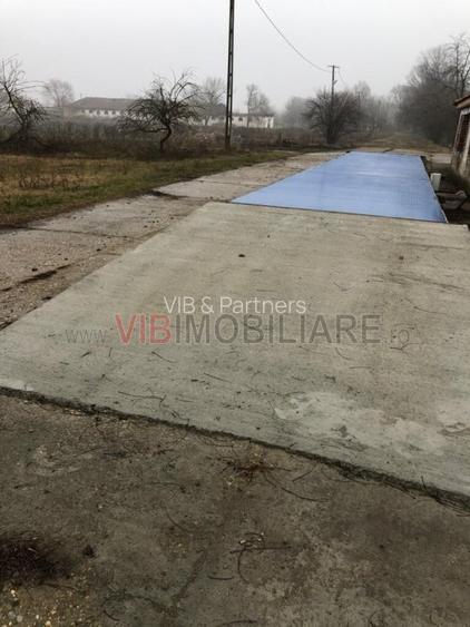 Ferma complet utilată – 30 ha teren comasat cu 11.500mp grajduri renovate Timiș - 19