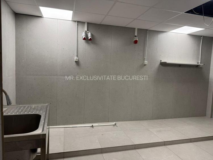 Spatiu Comercial 336 mp - Ultracentral, Piata Victoriei (Investitie) - 3