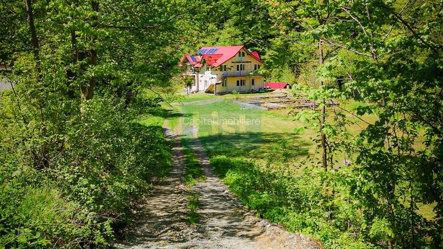 Casa de vacanta perfecta pe malul Cernei  - 13