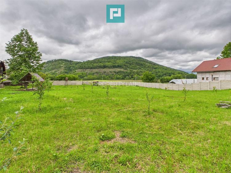 Casă în localitatea Gurahonț - Arad, teren 2914 mp - 23