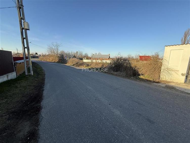 Holt- Letea Veche- teren 1620 mp- stradal 38ml - 5