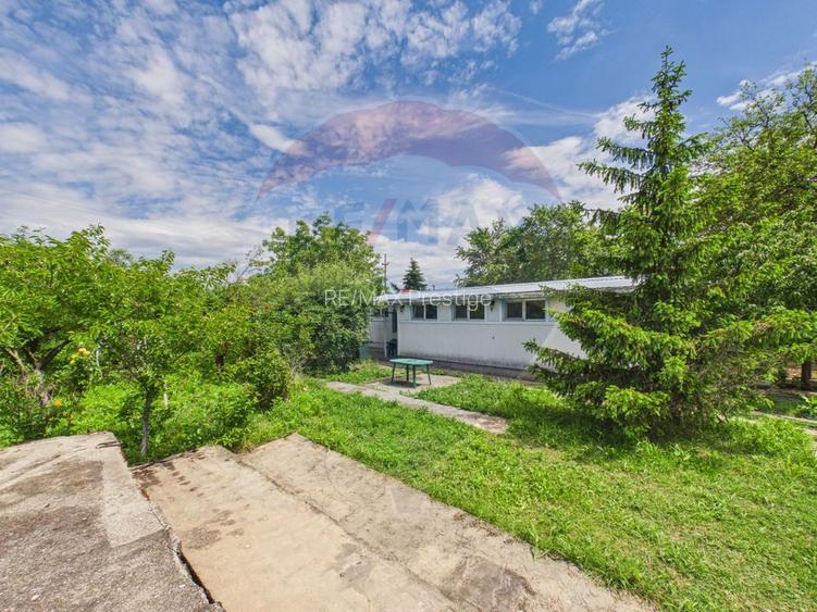 Casă 65 mp + teren 4000 mp, livadă, Butimanu - 5