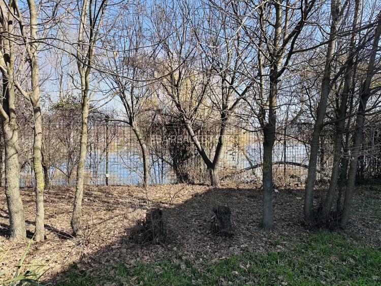 Domeniu splendid 2500 mp teren pe malul lacului Morii, vila 300 mp, Rosu-Chiajna - 10