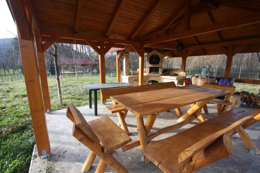 Proprietar vand parcela ptr. cabana de vacanta in Muntii Poiana Ruscai - 10