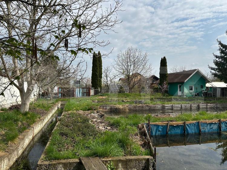 Investitie: Casa cu teren constructii si pastravarie - Prejmer, Brasov - 6