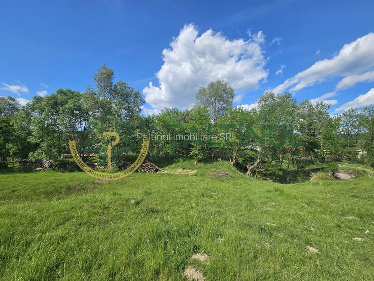 Teren de vânzare în Racovița, Sibiu – Valea Lupului - 7