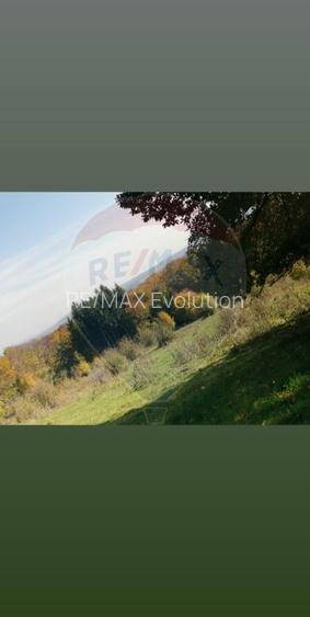 Teren aproape de pădure, situat într-o zonă aerisită - 4