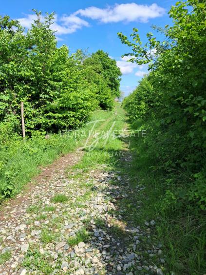 Teren de vanzare in Vii,  Podul Olt - 10