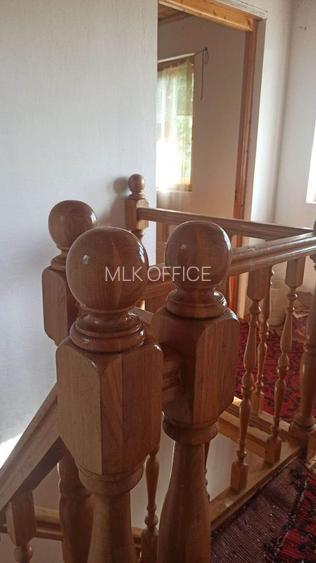 Tren si casa de vacanta in Panticeu - 6