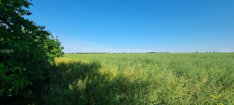 Ferma de Cultura Mare 1100 HA - 6