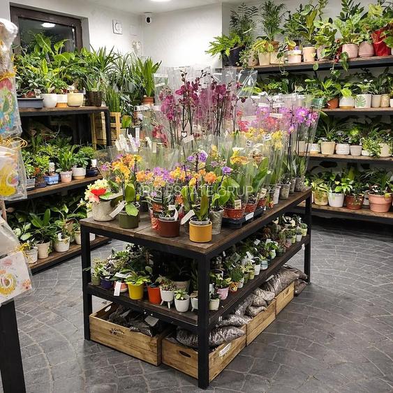 Preluare Afacere Florarie - 2