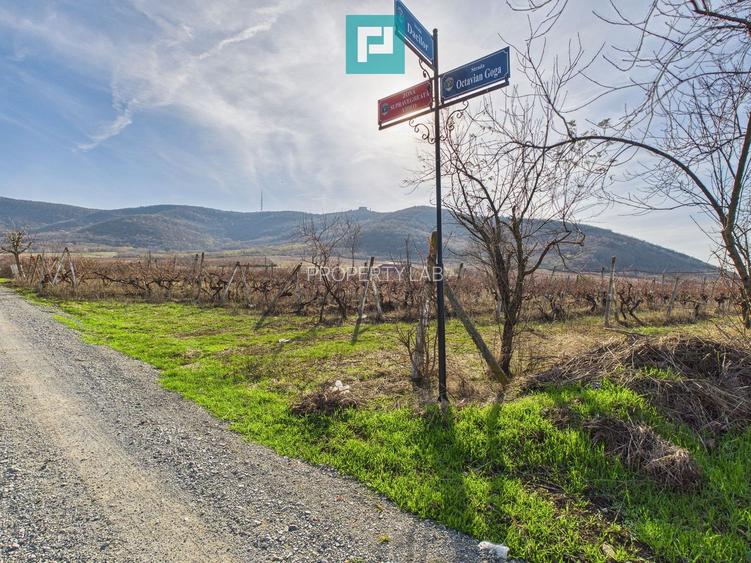 Casuță cu priveliște panoramică spre Cetatea Șiria - 29