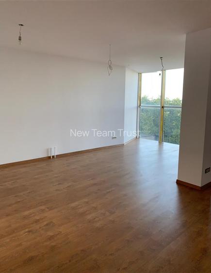 Vanzare  Spatiu Comercial Afumati - 12