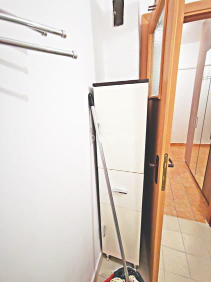 Inchiriere garsoniera ANL Brancusi Valea Oltului la cateva min metrou - 12