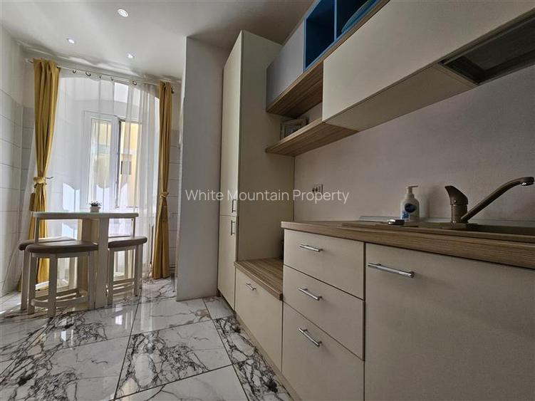 Apartament superb in Centrul Istoric - pretabil regim hotelier - 20