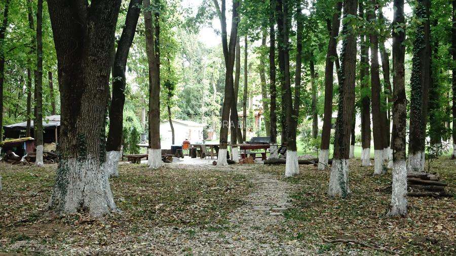 Vila superba in Padurea Baneasa, curte 5000 mp, piscina exterioara - 43