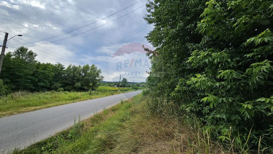 Casa  de vânzare cu teren 9200 mp, Pădureni-Șendriceni, Botoșani - 19