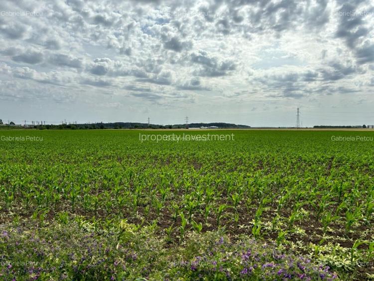 Dobroesti Teren 15.000 Mp Bd. Nordului Deschidere 41 ml - 3