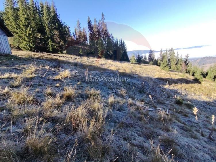 Teren 31,461mp Panaci / Prelungirea Ialovita - 9