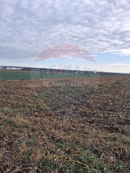 Teren intravilan 3400mp de vânzare la Sântion - 2