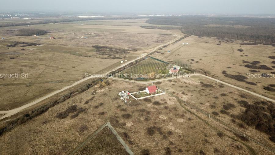 TEREN MOSNITA VECHE - GHIRODA 904 MP - 2