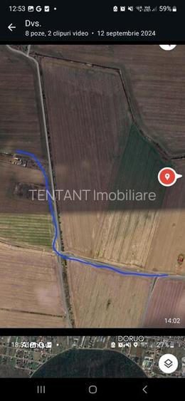 Vanzare Teren 5000mp intravilan Magurele - 7