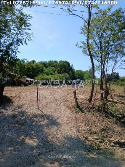 Teren Intravilan (4148 mp), situat in Tismana (Vanata) - 2