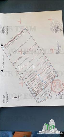 Teren intravilan - Calarasi - Vasilati - vanzare - 2