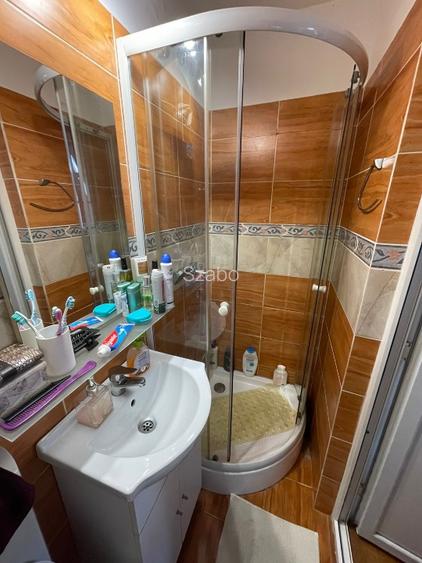 Apartament cu 1 camera la casa - 10