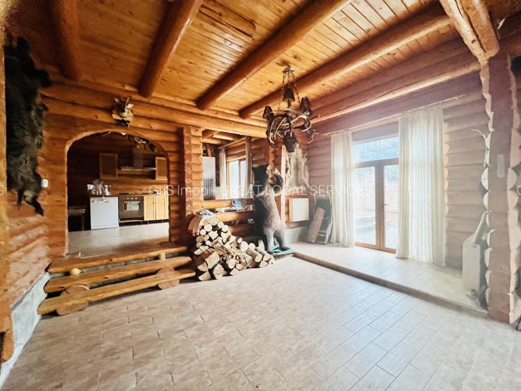 Cabana vânătorească din lemn cu vedere spectaculoasa, langa Castelul Cantacuzino - 12