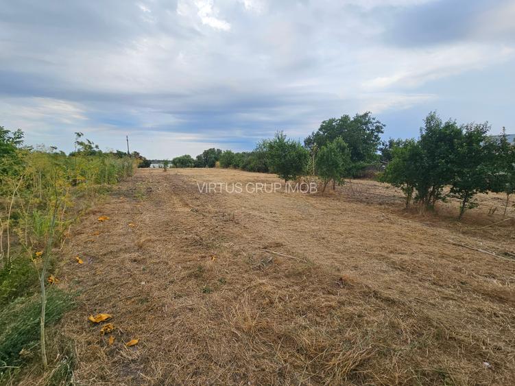 Vanzare Teren Buftea | Crevedia | Samurcasi | Iesire catre LAC - 10