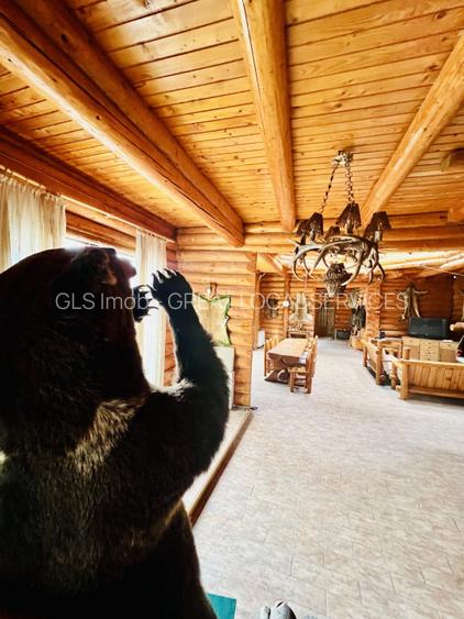 Cabana vânătorească din lemn cu vedere spectaculoasa, langa Castelul Cantacuzino - 9