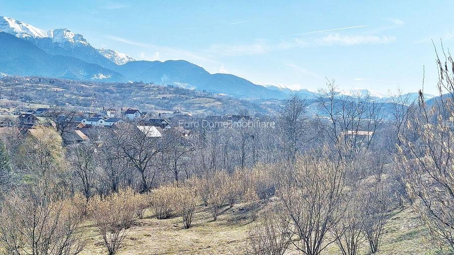 Comision 0%! Teren superb de 17000mp la 5 min de Castelul Bran, 13 euro/mp - 2