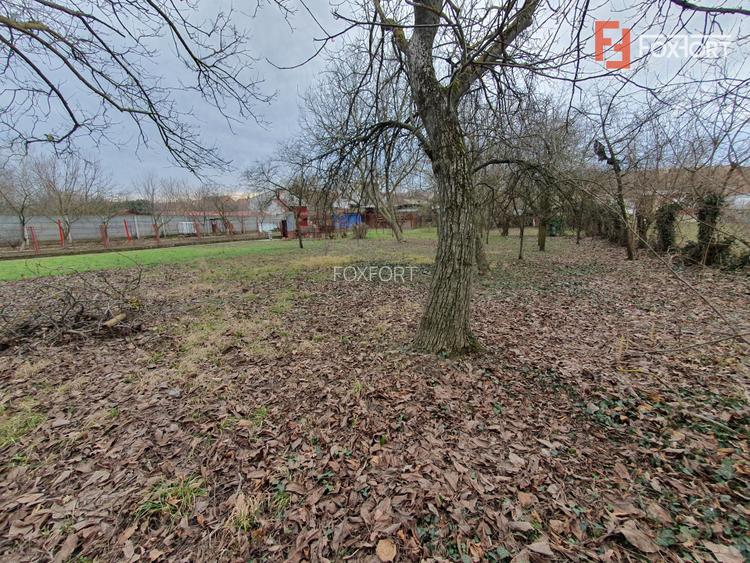 Apartament cu 5 camere de vanzare in Deta, zona Central - 17