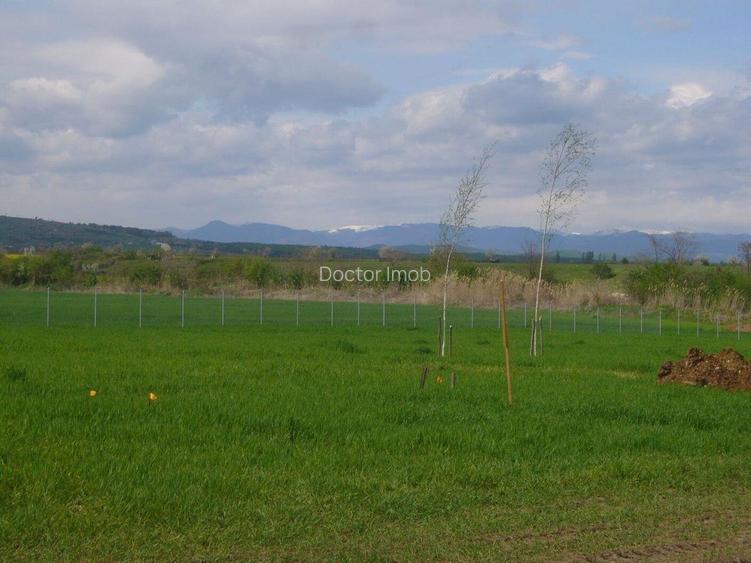 MAGNOLIA VILLAGE! Casă nouă, prima inchiriere, cu vedere la munte! - 14