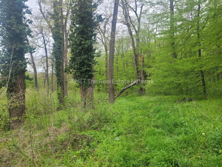 SUPER  OCAZIE TEREN 4000MP DE VANZARE IN SNAGOV CU DESCHIDERE LA LACUL SNAGOV - 6