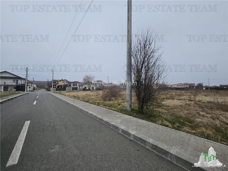 TEREN INTRAVILAN 1000 MP COSTINESTI - 4