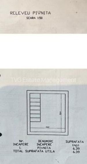 Vila P+1 Craiova central - 11