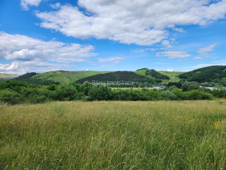 Teren Intravilan  1100 mp ,Stolna - 2
