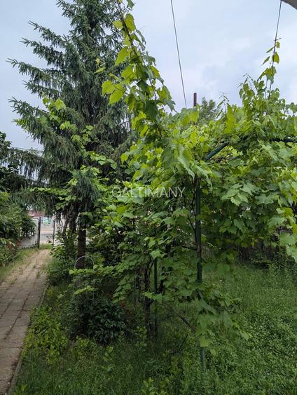 Vilă P+1+M, 6 camere, terasa, garaj, teren cu 8.246 mp30 min de București - 44