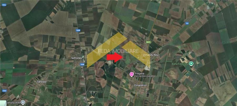 Teren 6,8ha extravilan de vanzare Zimandu Nou - 3