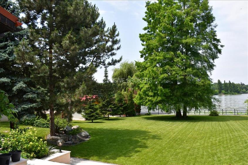 VILA SUPERBA SNAGOV  DESCHIDERE 40 ML LAC  TEREN 1750 MP - 4