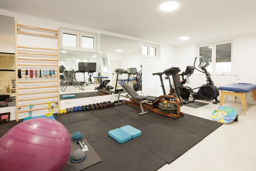 VILA MALUL LACULUI SNAGOV || PISCINA | PANOURI FOTOVOLTAICE - 17