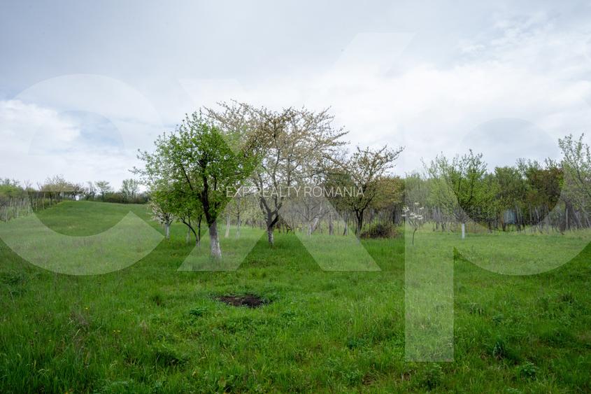 Proprietate unică, în zonă verde și liniștita - 9