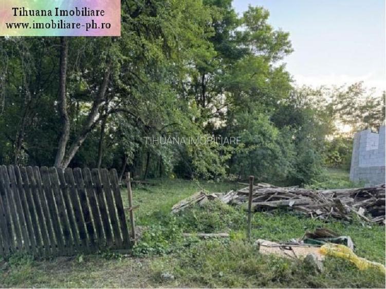 Casa in constructie de vanzare: Aricesti Zeletin,(teren 3100 mp) - 5