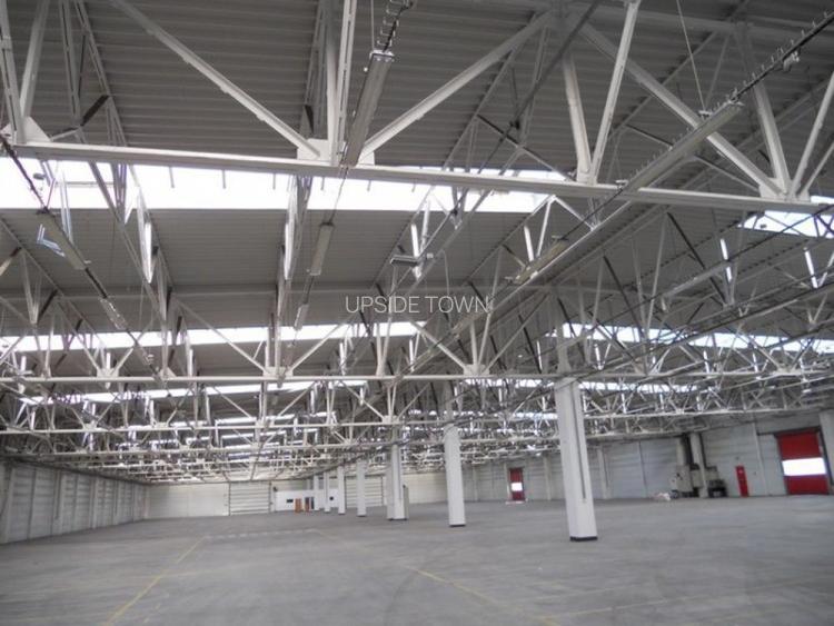 Teren Crevedia | Industrial | Construibil | Hala - 2