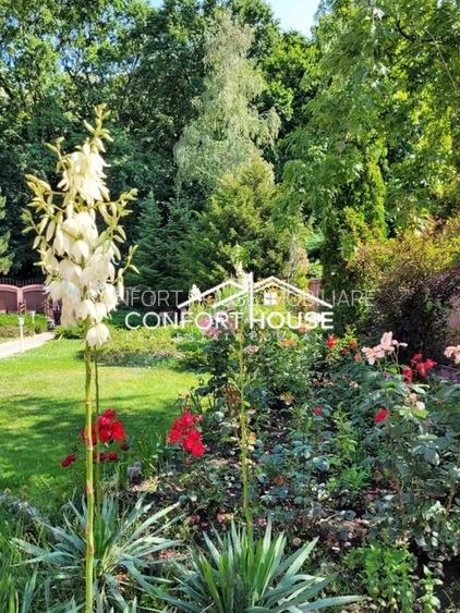 VILA D+P+E+M, 12 camere, piscina , padure, IANCU NICOLAE - 8