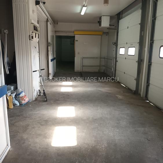 Depozit 600mp Techirghiol - 15